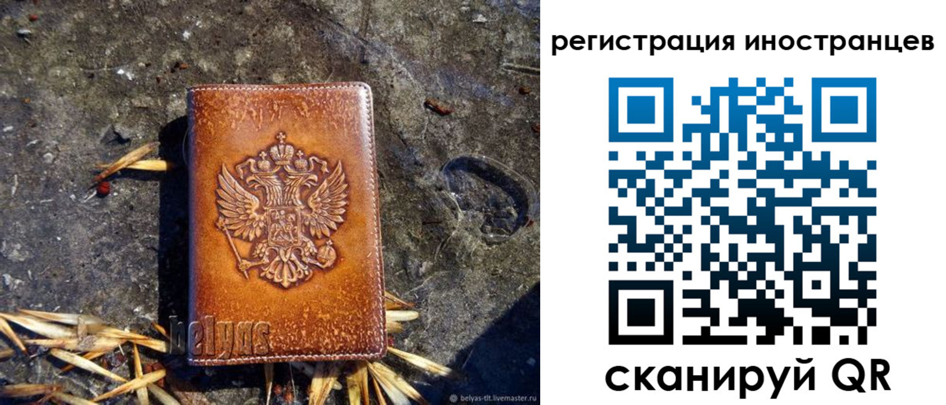 прописка регистрация в Коряжме